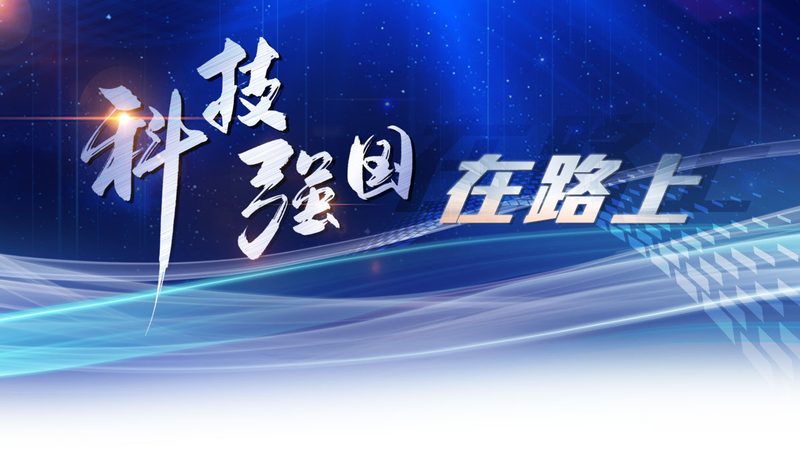 商业智能项目在上海公司的应用与挑战