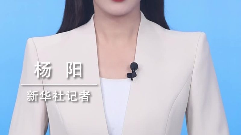 数据可视化报表制作：如何构建高效的信息传达桥梁